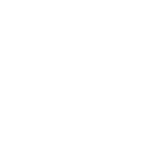 029 formula